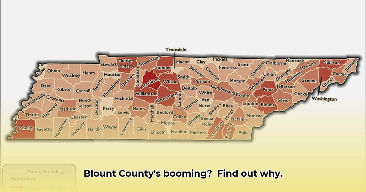 population-of-blount-county-tn